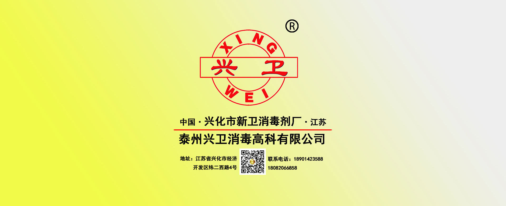 公司（sī）資訊